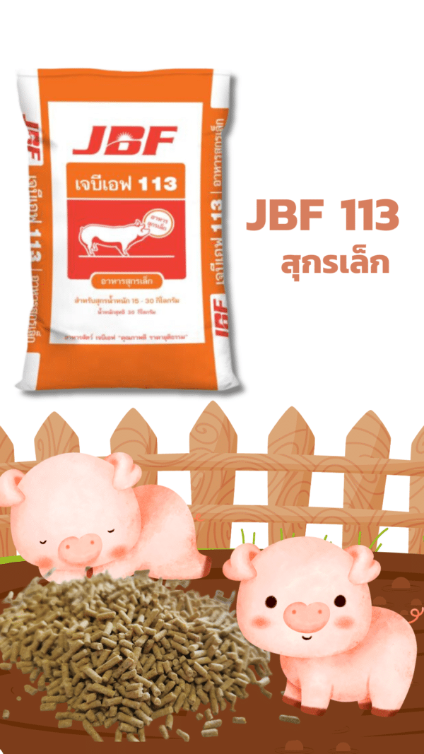 อาหารสุกร เจบีเอฟ 113 สำหรับสุกรเล็ก 15-30กก. - Image 3
