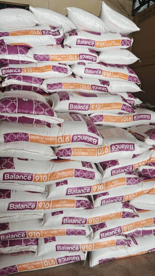 Balance Feed บาลานส์ 910-21 อาหารไก่เนื้อแรกเกิดคุณภาพสูง อุดมด้วยโปรตีนและสารอาหารที่จำเป็น ช่วยเสริมสร้างการเจริญเติบโตอย่างรวดเร็ว ลดต้นทุนการเลี้ยง ผลิตจากวัตถุดิบคุณภาพโดย Theerat Feed เหมาะสำหรับเกษตรกรผู้เลี้ยงไก่เนื้อ คลิกเพื่อดูรายละเอียดเพิ่มเติม!