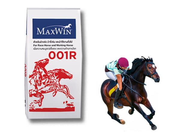MAXWIN 001R อาหารม้าคุณภาพสูง (30 กิโลกรัม) - Image 3