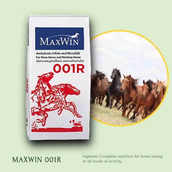 ภาพนี้เป็นบรรจุภัณฑ์ของ อาหารม้า MAXWIN รุ่น 001R ซึ่งเป็นอาหารที่ออกแบบมาสำหรับม้าแข่ง ม้าขี่เล่น และม้าใช้งานทั่วไป