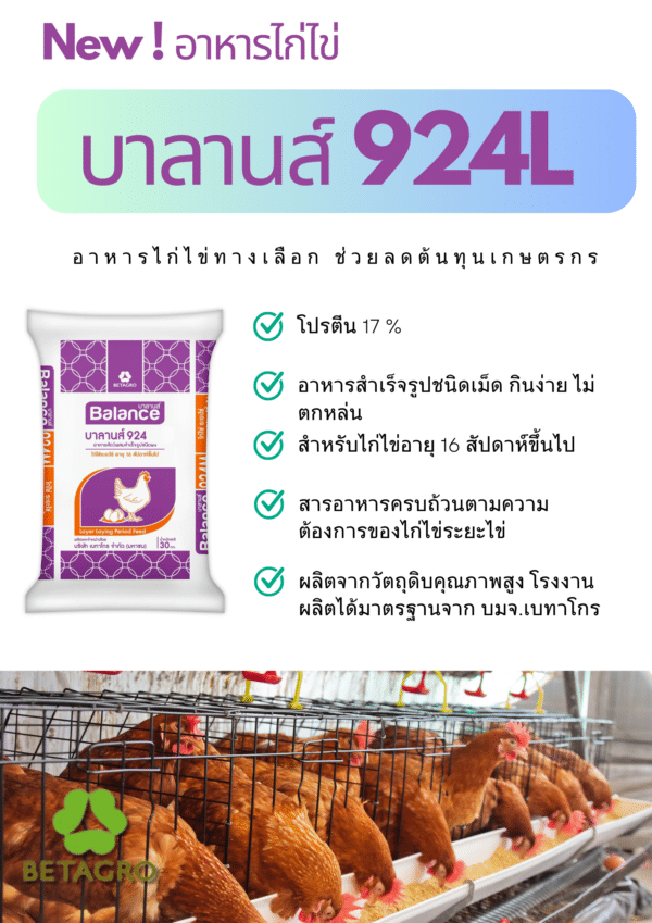 Balance Laying Hens อาหารไก่ไข่ ระยะไข่ 16 สัปดาห์ขึ้นไป บาลานซ์ 924L 17% โปรตีน ชนิดเม็ด - Image 3