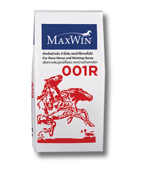ภาพนี้เป็นบรรจุภัณฑ์ของ **อาหารม้า MAXWIN รุ่น 001R** ซึ่งเป็นอาหารที่ออกแบบมาสำหรับม้าแข่ง ม้าขี่เล่น และม้าใช้งานทั่วไป โดยมีข้อความระบุว่า: - **"สำหรับม้าแข่ง ม้าขี่เล่น และม้าใช้งานทั่วไป"** - **"For Race Horse and Working Horse"** - **"เพื่อความสมบูรณ์แข็งแรง และความต้านทานโรค"** ที่ด้านหน้าของบรรจุภัณฑ์มีโลโก้ **MAXWIN®** อยู่ด้านบน พร้อมตัวอักษรสีแดง "001R" ซึ่งเป็นชื่อรุ่นของผลิตภัณฑ์ และมีภาพกราฟิกของม้าสีแดงในลักษณะกำลังวิ่งหรือเคลื่อนไหวอย่างมีพลัง แสดงถึงความแข็งแรงและพลังงานที่เหมาะสำหรับม้าที่ใช้งานหนักหรือม้าแข่ง บรรจุภัณฑ์มีดีไซน์เรียบง่าย ใช้สีขาวเป็นพื้นหลังและมีข้อความหลักเป็นสีแดงและสีน้ำเงิน ทำให้ดูโดดเด่นและเน้นความเป็นมืออาชีพ