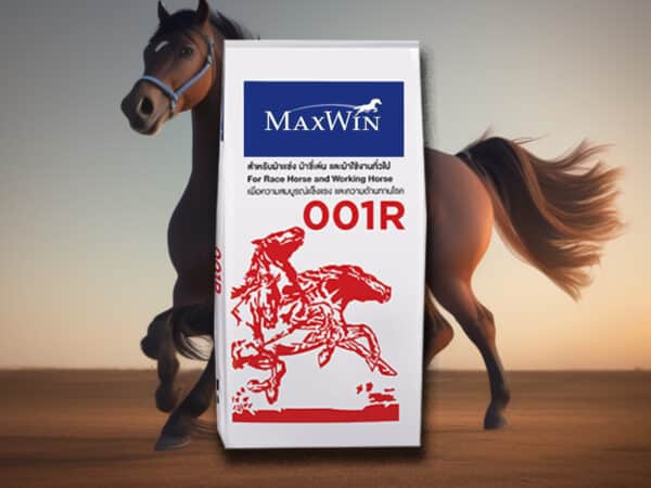MAXWIN 001R อาหารม้าคุณภาพสูง (30 กิโลกรัม) - Image 4