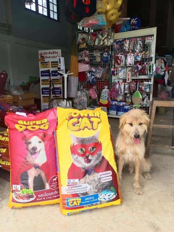 Power Cat HiQ อาหารแมว รสปลาทูน่า - อาหารแมวคุณภาพสูง โภชนาการครบถ้วน มีขนาด 10กก. และ 20กก. - Image 2
