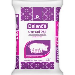 ถุงอาหาร_BALANCE957บาลานส์
