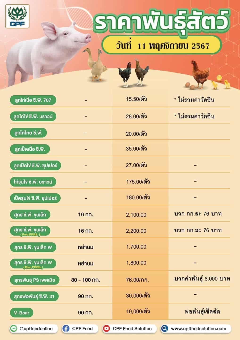 🐾 ราคาพันธุ์สัตว์ ประจำปี 2025