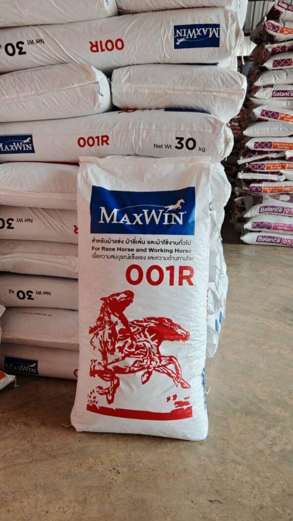 MAXWIN 001R อาหารม้าคุณภาพสูง (30 กิโลกรัม) - Image 8