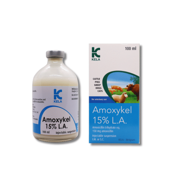 Amoxykel 15% LA – ยาปฏิชีวนะออกฤทธิ์ยาวนานสำหรับสัตว์ | รักษาการติดเชื้อแบคทีเรียในวัว สุกร สุนัข และแมว