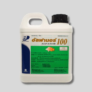 Alfanor 100 – Enrofloxacin 10% ยาปฏิชีวนะสำหรับปลา | รักษาการติดเชื้อแบคทีเรียในกุ้งและปลา