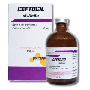 เซฟโตซิล 100 มล. (CEFTOCIL 100ML) – ยาปฏิชีวนะ Ceftiofur สำหรับวัวและสุกร | รักษาโรคทางเดินหายใจ โรคมดลูกอักเสบ และเท้าเน่า