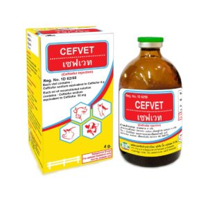 Cefvet – Ceftiofur ยาปฏิชีวนะวงกว้างสำหรับสัตว์ | รักษาโรคทางเดินหายใจในวัว สุกร และม้า