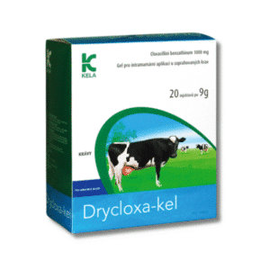 DRYCLOXA-KEL อินทรามัมมารี ยาปฏิชีวนะสำหรับรักษาเต้านมอักเสบในวัว | ป้องกัน Mastitis ในช่วง Dry-off