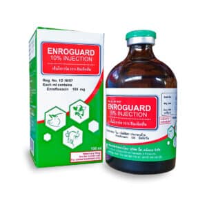 ENROGUARD 5% และ 10% Injection – ยาปฏิชีวนะวงกว้างสำหรับสัตว์ | รักษาการติดเชื้อในระบบทางเดินอาหาร หายใจ ปัสสาวะ และผิวหนัง