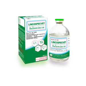 Lincospecvet Injection – ยาปฏิชีวนะผสมสำหรับสัตว์ | รักษาการติดเชื้อแบคทีเรียในวัว สุกร และสัตว์เลี้ยง