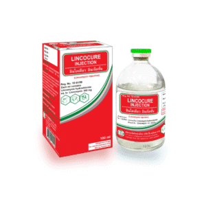 Lincocure Injection (Lincomycin Injection) 100 ml – ยาปฏิชีวนะสำหรับสัตว์ | รักษาการติดเชื้อแบคทีเรียในสุกร สุนัข และแมว (คัดลอก)