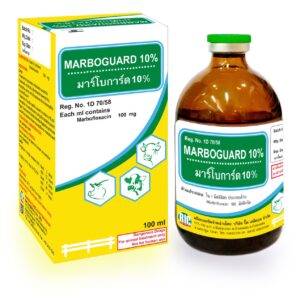 Marboguard 10% Injection – ยาปฏิชีวนะสเปกตรัมกว้างสำหรับสัตว์เศรษฐกิจและสัตว์เลี้ยง