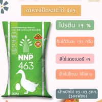 463 ธีรัตม์