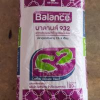932balance frontbags
