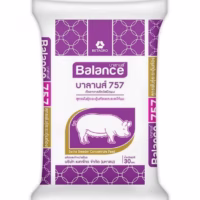 Balance 757