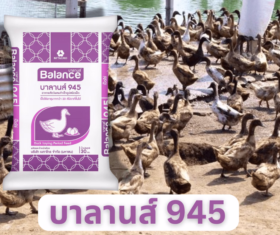 balance945layingduckfeeds