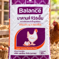 balance 926m