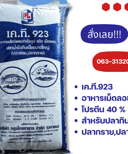 อาหารปลาช่อน ปลากราย KT923 (โปรตีน 40%)  เคที 923