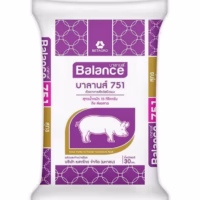 ถุงอาหาร BALANCE751บาลานส์