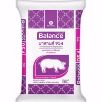 ถุงอาหาร BALANCE954
