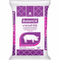 ถุงอาหาร BALANCE955บาลานส์