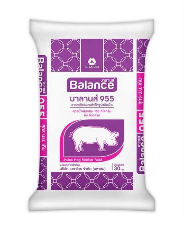 ถุงอาหาร_BALANCE955บาลานส์