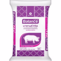 ถุงอาหาร BALANCE956บาลานส์