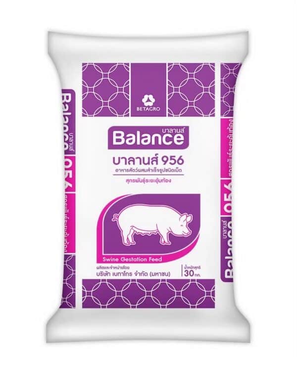 ถุงอาหาร_BALANCE956บาลานส์