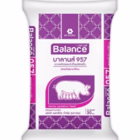 ถุงอาหาร BALANCE957บาลานส์