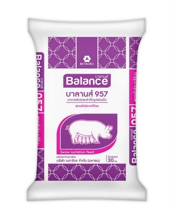 ถุงอาหาร_BALANCE957บาลานส์