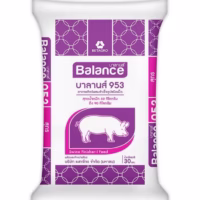 ถุงอาหาร บาลานส์ balance 953 อาหารหมู