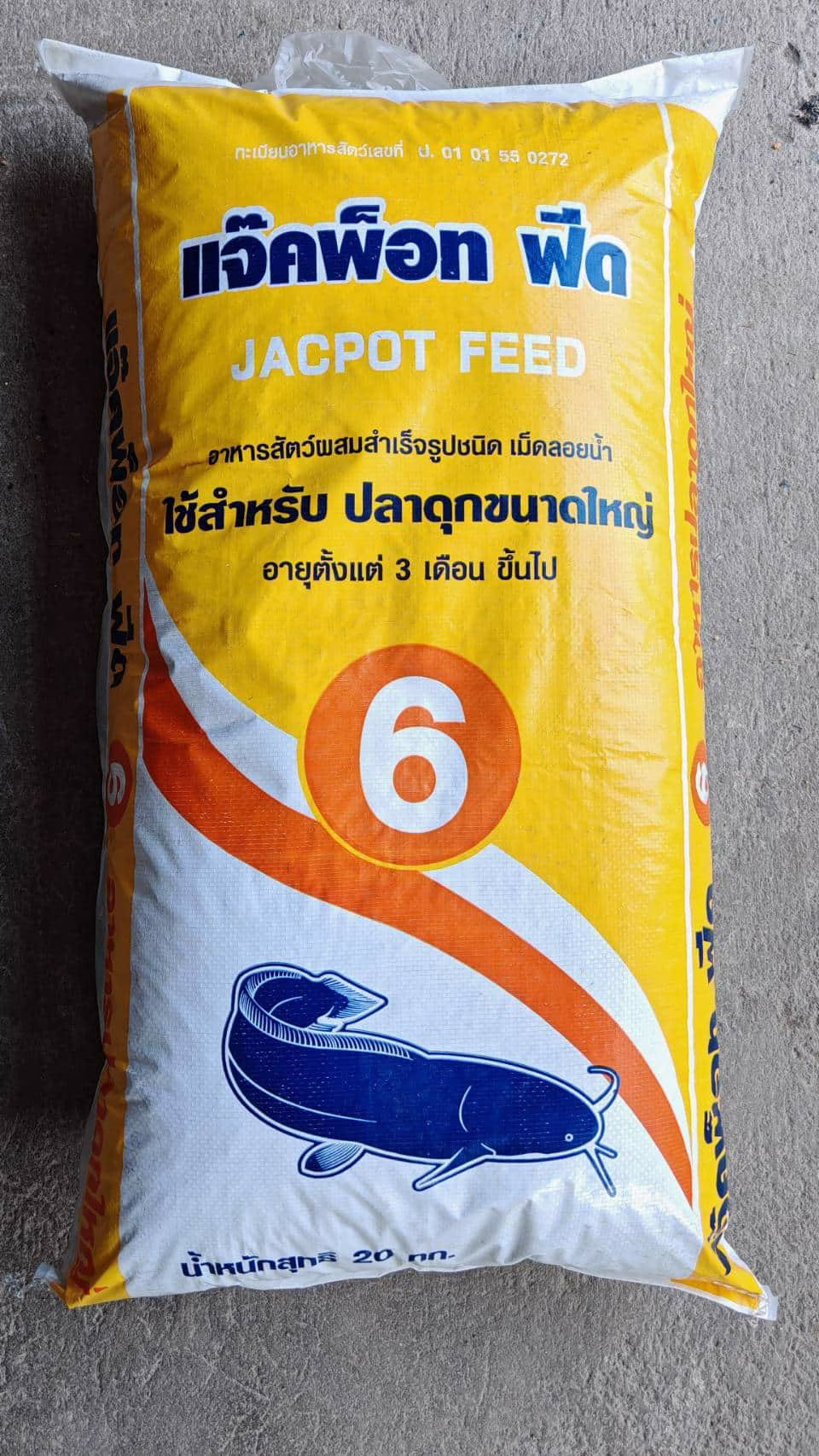 แจ๊คพ็อทฟีด6 ปลาดุกใหญ่ 2