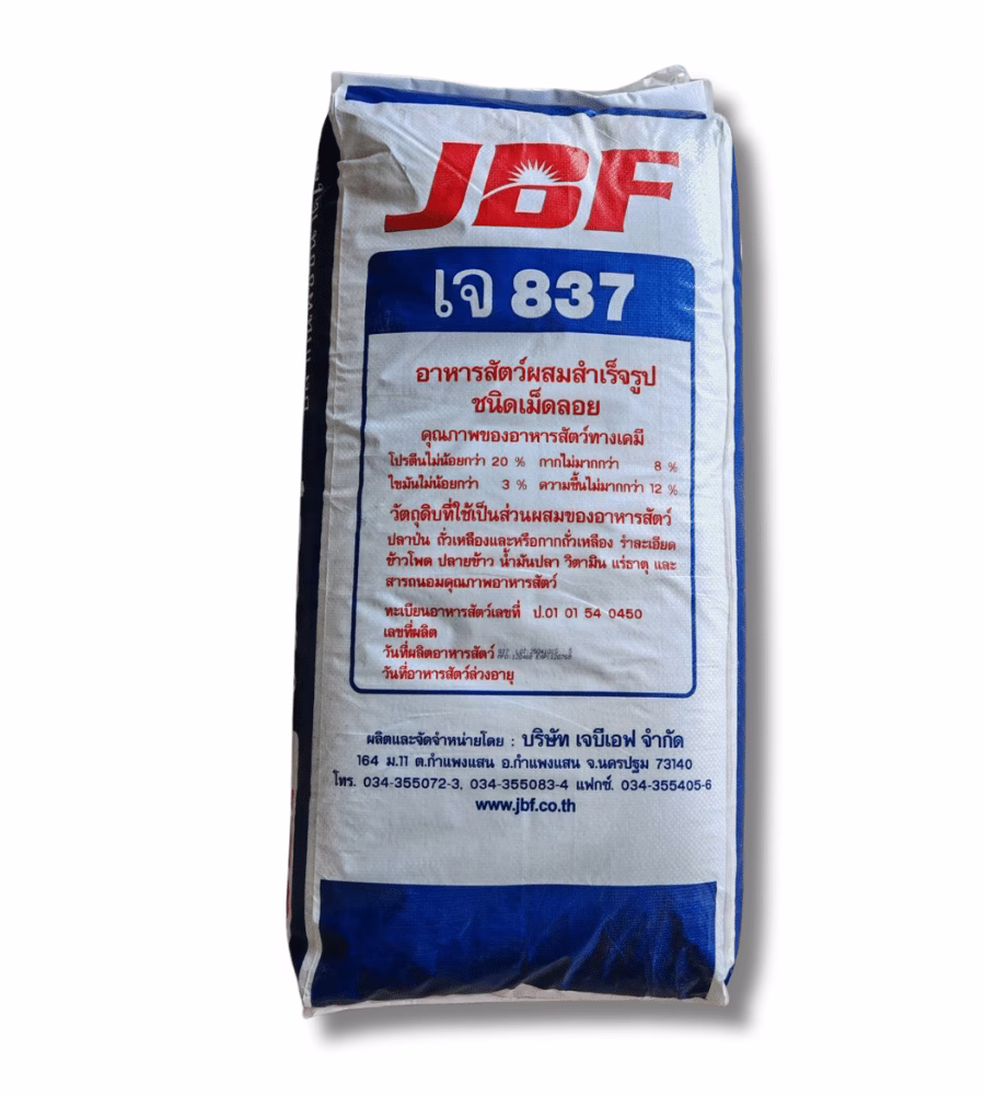 J837 BACK BAGS