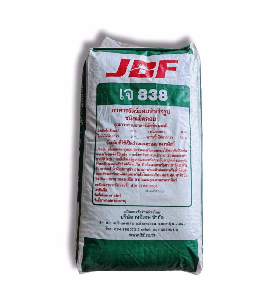 J838 BACK BAGS
