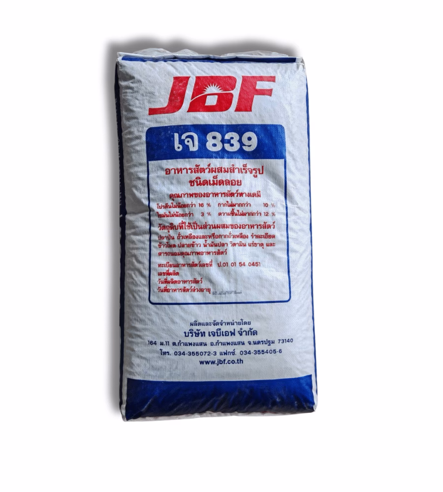 J839 BACK BAGS