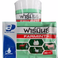 farmint ฟาร์มินธ์