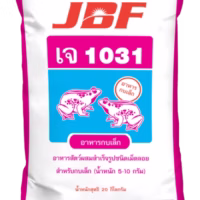 j1031