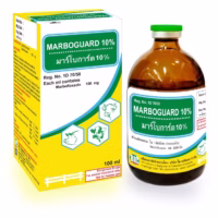 marboguard10 ยาสัตว์บิ๊คเคมิคอล 250517 23