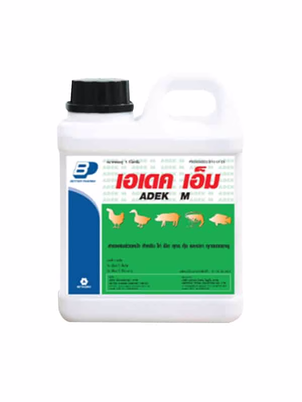 เอเดค เอ็ม ADEK M