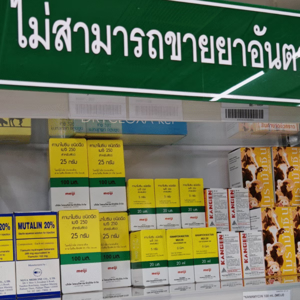 คานามัยซิน อินเจ็คชั่น เมจิ (KANAMYCIN INJECTION MEIJI) – ยาปฏิชีวนะ - Image 2