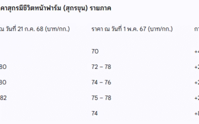 สุกรขุน “ทรงตัว” สวนทางลูกสุกร “ราคาลง” เกิดอะไรขึ้น?