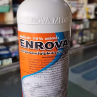 เอ็นโรวา 10% ชนิดน้ำ (ENROVA 10% Solution)