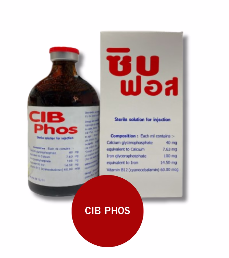 CIB Phos ซิปฟอส 100ml วิตามินสัตว์ เสริมแคลเซียม แก้ขาอ่อนแรง ไก่ สุกร โค