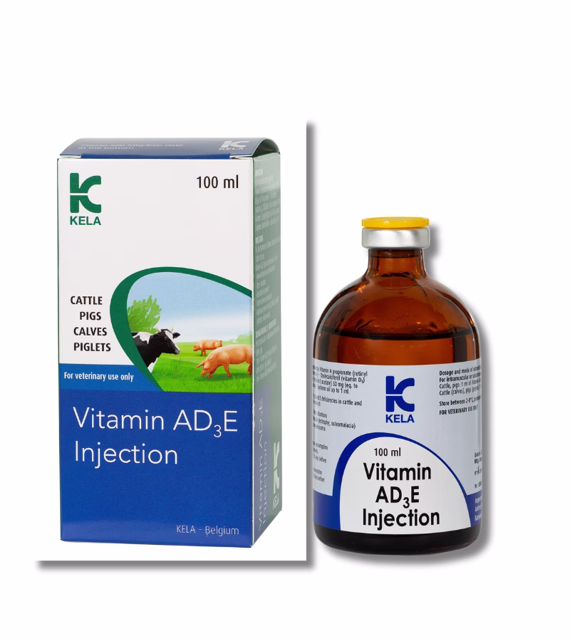 KELA AD3E Injection 100ml วิตามินสัตว์ วัว ควาย หมู แพะ เสริมภูมิ บำรุงกระดูก เร่งโต
