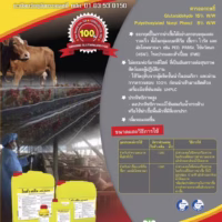 ไซต้า-คลีน SITA-KLEAN น้ำยาฆ่าเชื้อฟาร์มสัตว์ Glutaraldehyde 15% ฆ่าเชื้อไวรัส แบคทีเรีย เชื้อรา