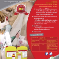 ไซต้า-รัล SITA-RAL น้ำยาฆ่าเชื้อฟาร์มสัตว์ Glutaraldehyde + QAC ฆ่าเชื้อไวรัส แบคทีเรีย เชื้อรา สำหรับฟาร์มหมูและไก่